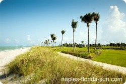 naples florida, gulf coast beach, mote aquarium