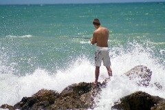 dania beach florida, naples florida, fisherman, gulf of mexico fishing, young man fishing